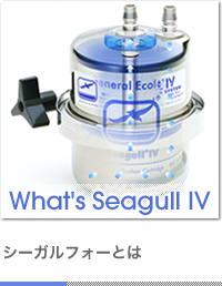 What's Seagull IV シーガルフォーとは